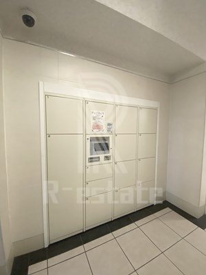 ダイナコートエスタディオレシェンテ その他4