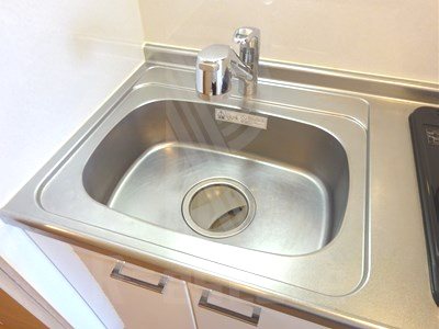 サヴォイザティファナ その他8