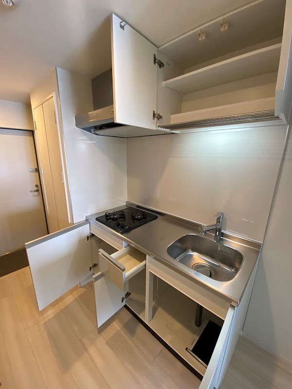 サヴォイラピエルサフィール キッチン