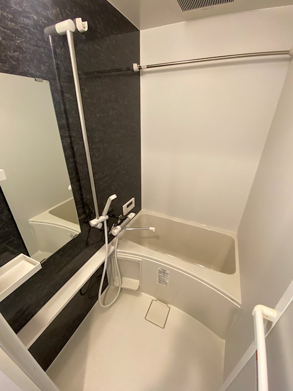 サヴォイラピエルサフィール 風呂画像