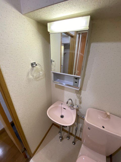 ダイナコートエスタディオレシェンテ その他6