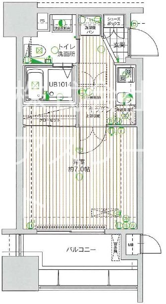 サヴォイザセントラルガーデン 906号室 間取り