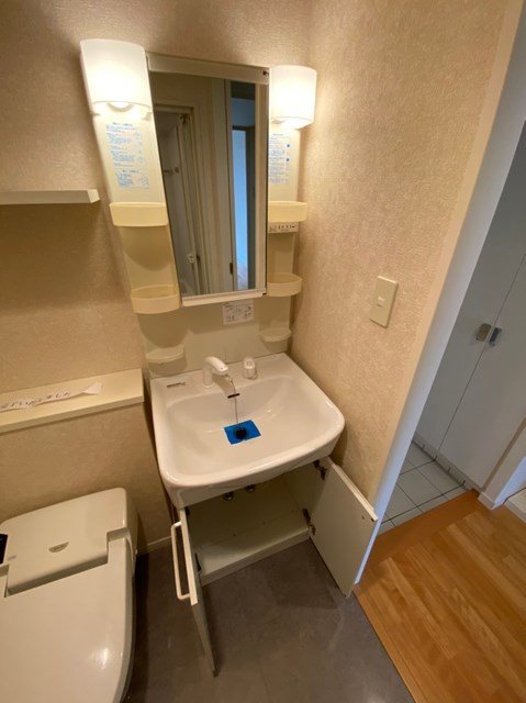 サヴォイザセントラルガーデン その他4