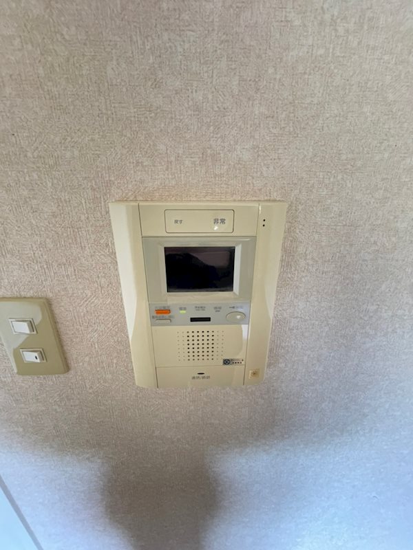 サヴォイグランデス その他10