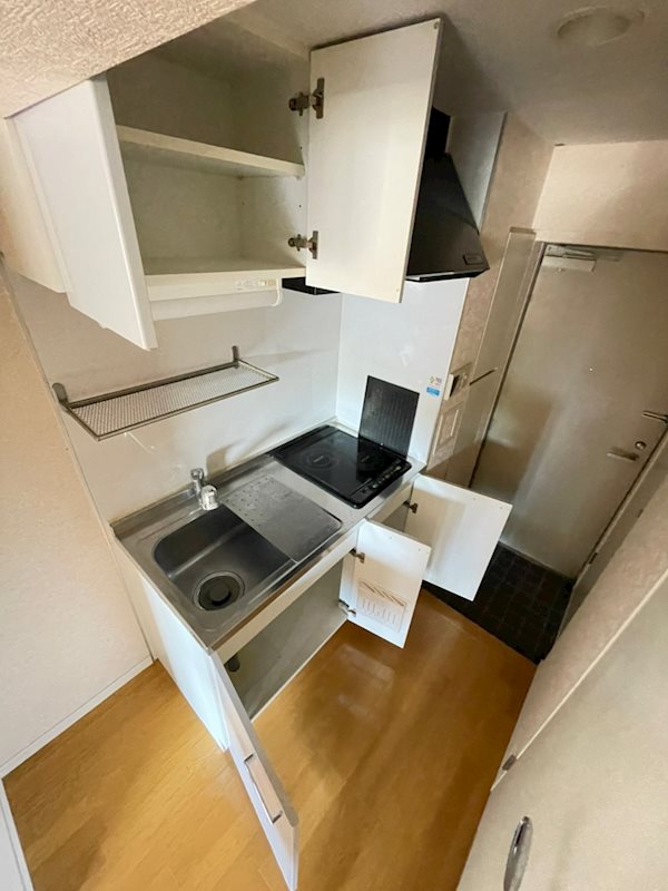 サヴォイグランデス その他12