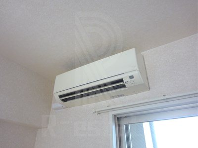 サヴォイグランデス その他9