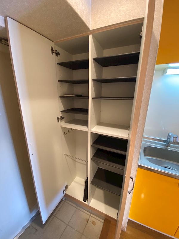 サヴォイザパームストリート 玄関