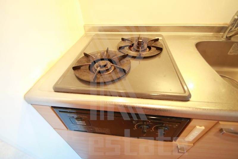 アレクサスラストラーダ その他7