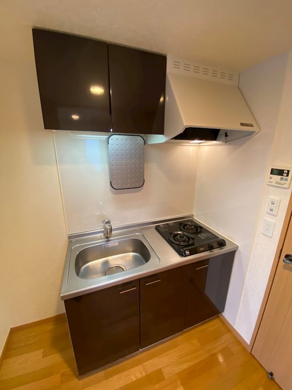 サヴォイテンジンスクワイヤー その他10