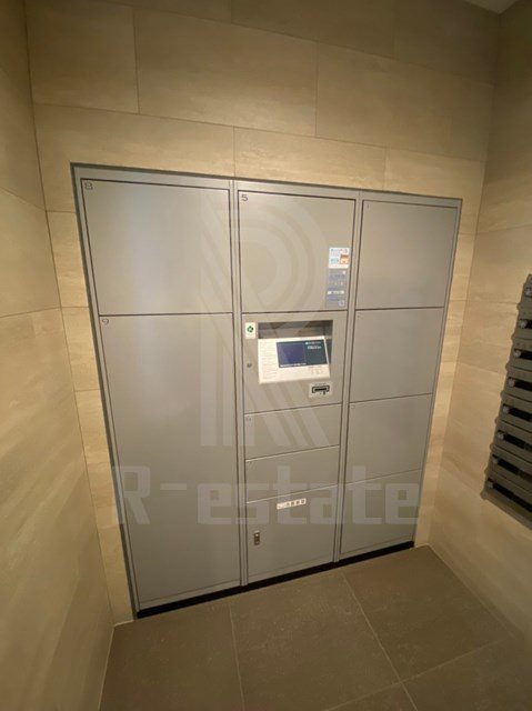 サヴォイブロンズガーデニア その他3