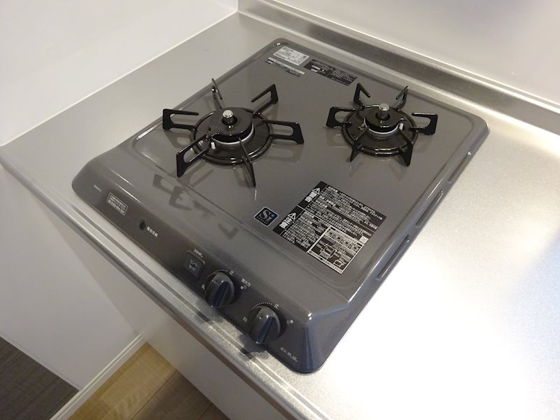 サヴォイラサブリエール その他10