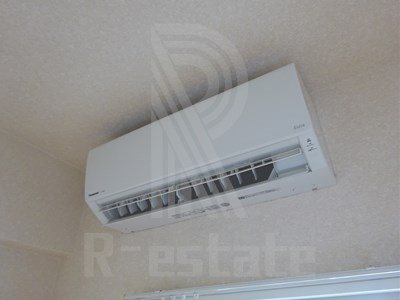 アレクサスイルビアンコ その他15