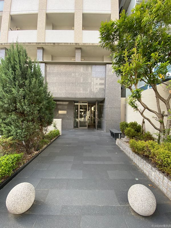 アレクサスイルビアンコ その他1