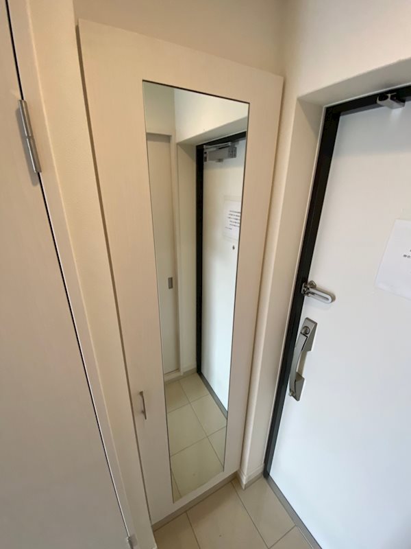 アルファシオフリード その他17