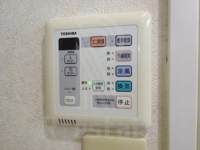 サヴォイグランデス その他14