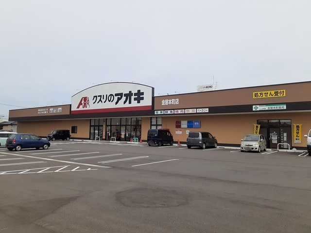 高岡市横田町２丁目戸建 ドラッグストア