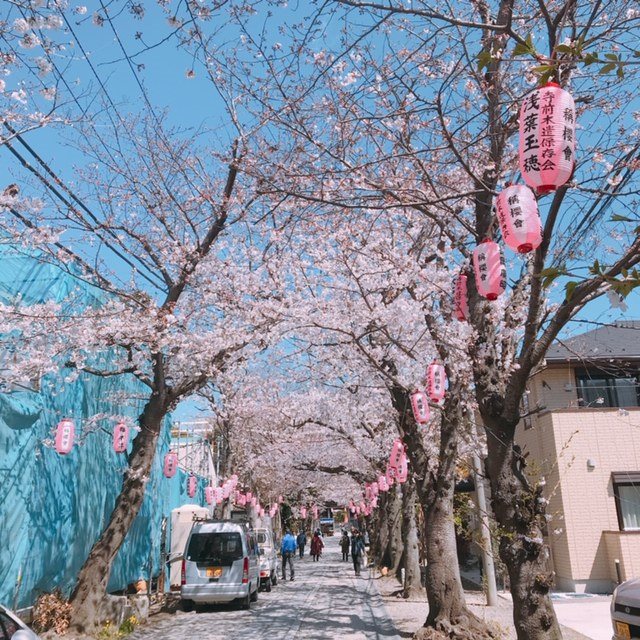 TSUBAKIテラス その他外観1