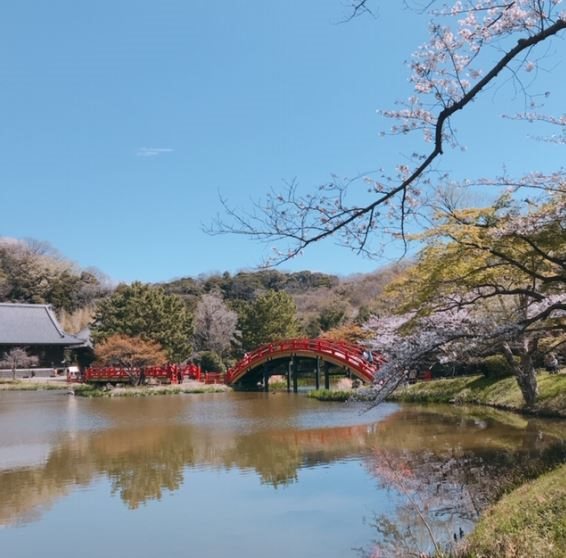 TSUBAKIテラス その他外観3