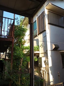 Fコーポ その他2