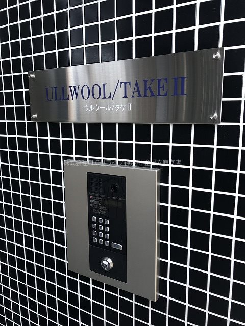 ULLWOOL　TAKEⅡ (ウルウールタケ) その他外観2