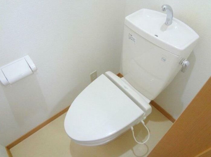 White Wing その他1
