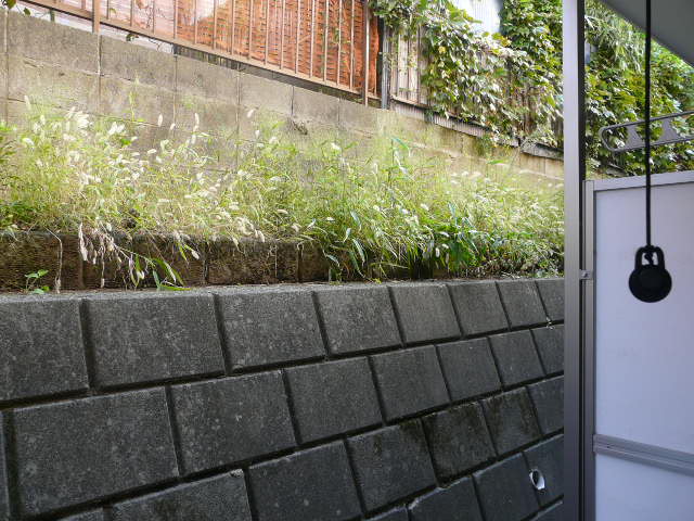 プラナス富岡  ベランダ