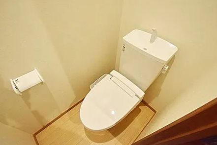 ステラ　キミ その他3