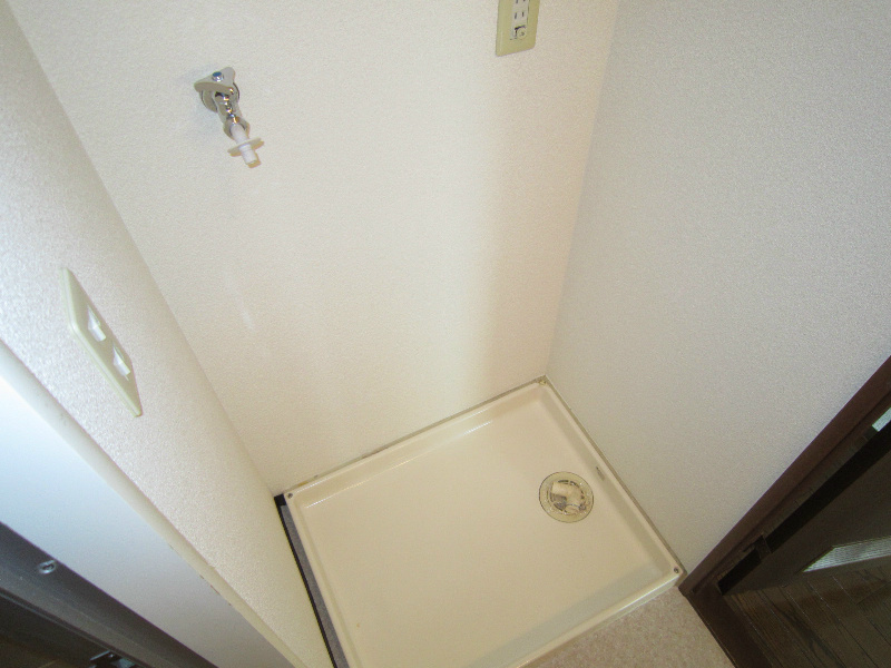 サンセール菊 その他3