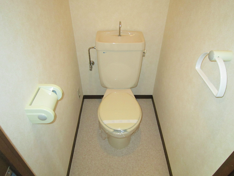 サンセール菊 その他4