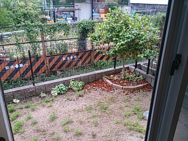 ランパートイヅツ ベランダ