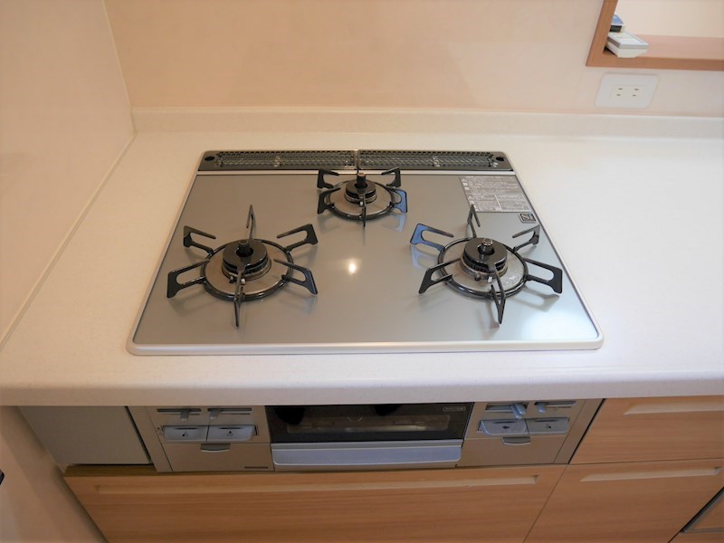 泉佐野市中庄戸建て その他8