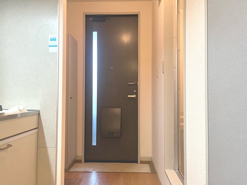 スカイハイツ 玄関