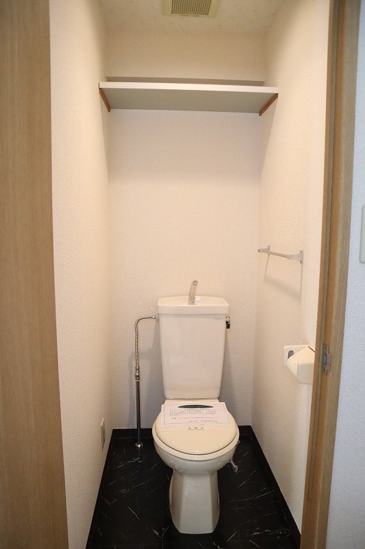 スターシップ その他5