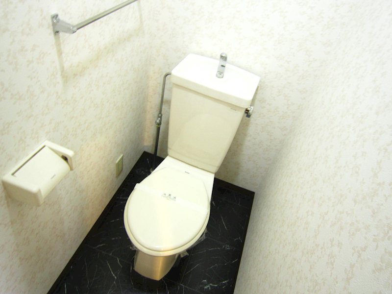 スターシップ その他3