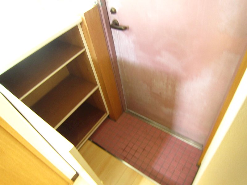 スターシップ その他7