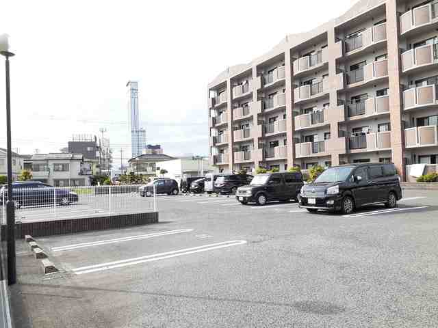 サンフローラ その他5