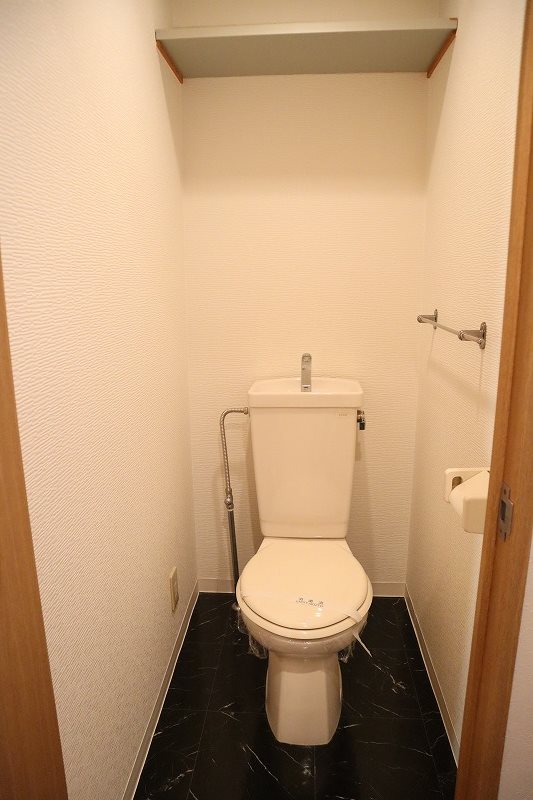 スターシップ その他7