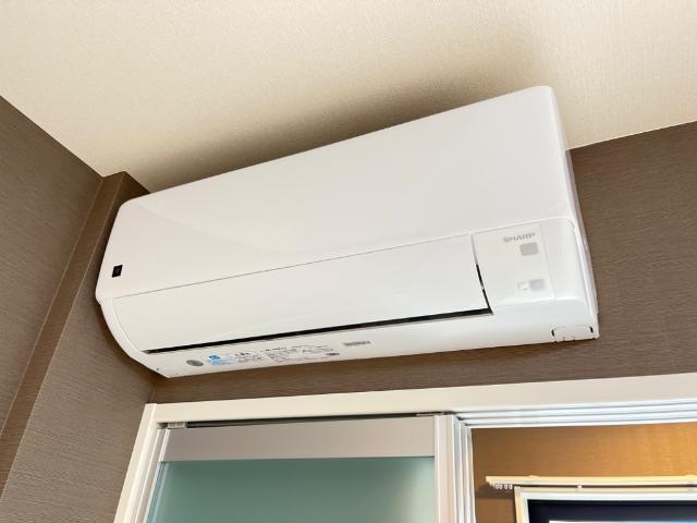 ストレリチア その他3