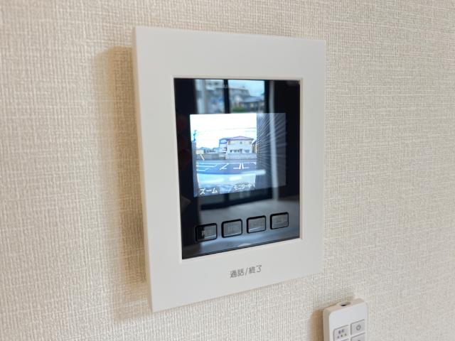 ストレリチア その他4