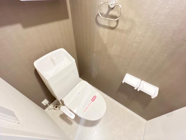 ストレリチア その他11