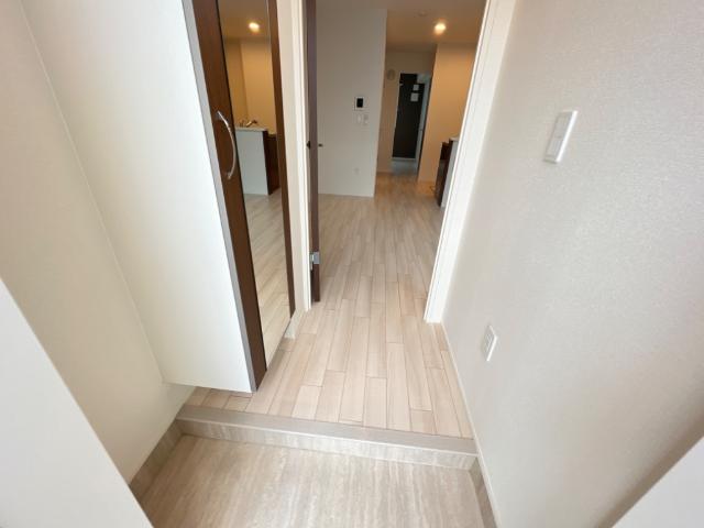 ストレリチア その他14