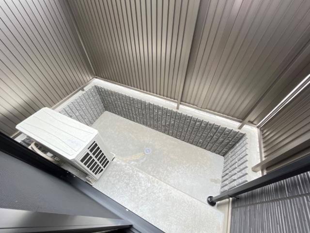 ストレリチア その他16