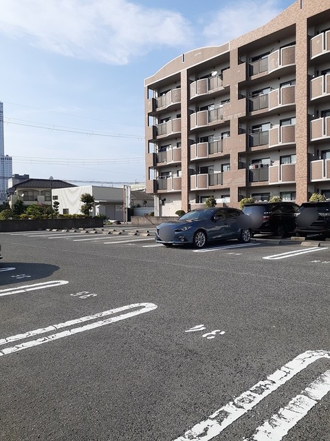 サンフローラ その他5