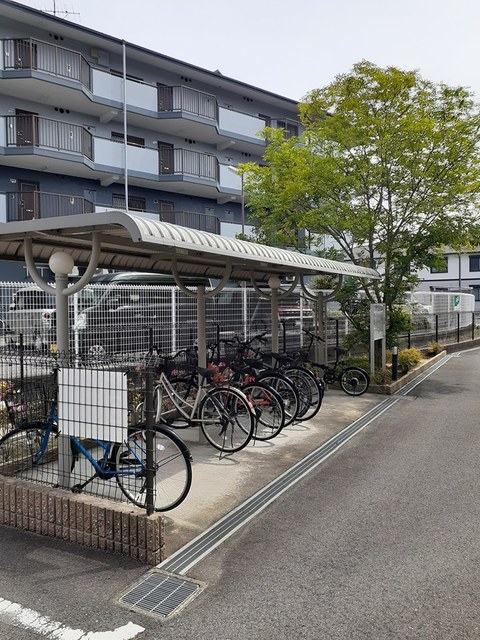 マロンツリー その他6