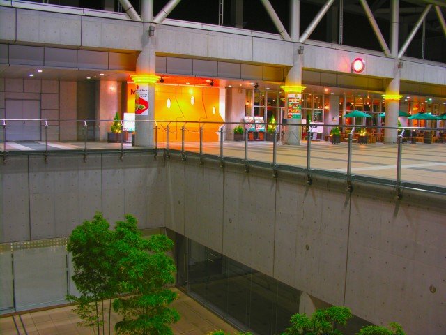 植木マンション舞浜 小学校