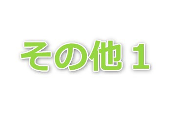 Shirai建物テスト ベッドルーム