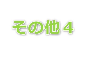 白井 townhouse2　 その他