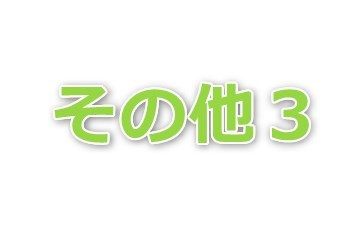 白井 townhouse2　 その他