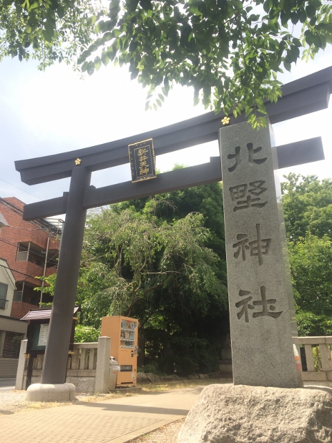 フォレストⅤ その他
