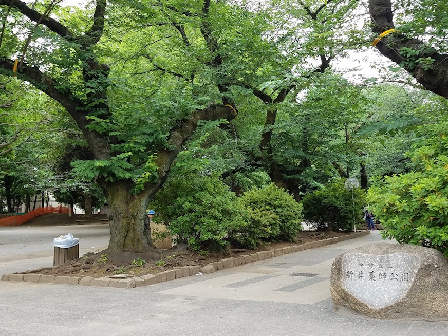 フォレストⅤ 公園